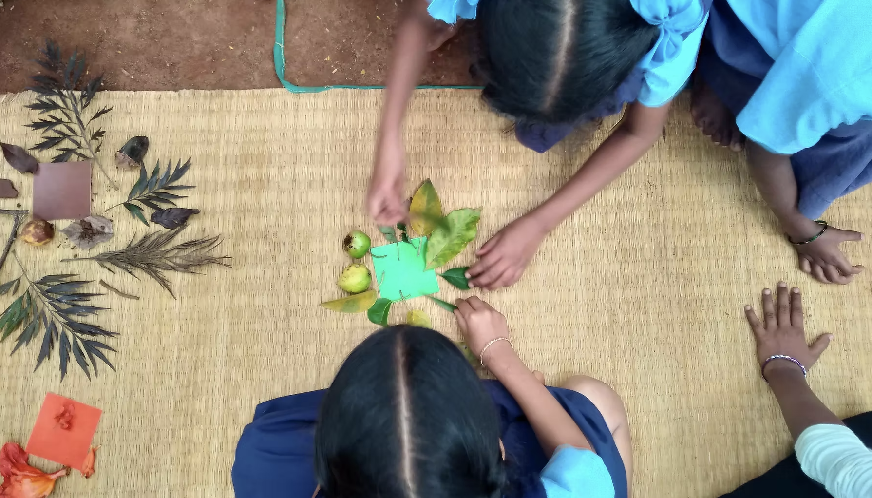 Students playing Colours in Nature