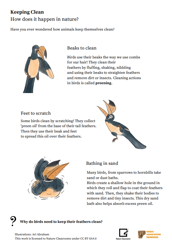 Animal Grooming Charts