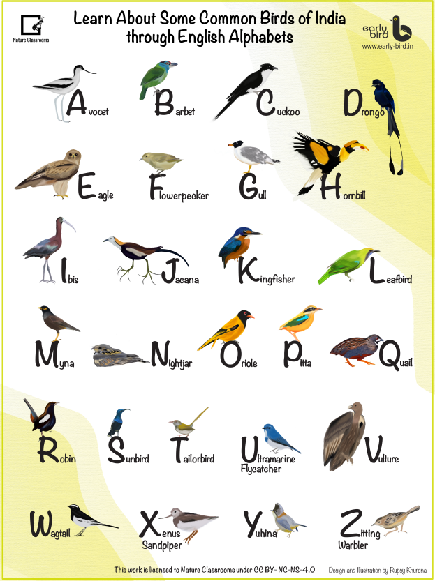 Bird Alphabet Chart