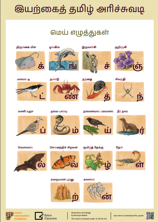 Consonents - Tamil Alphabet Chart