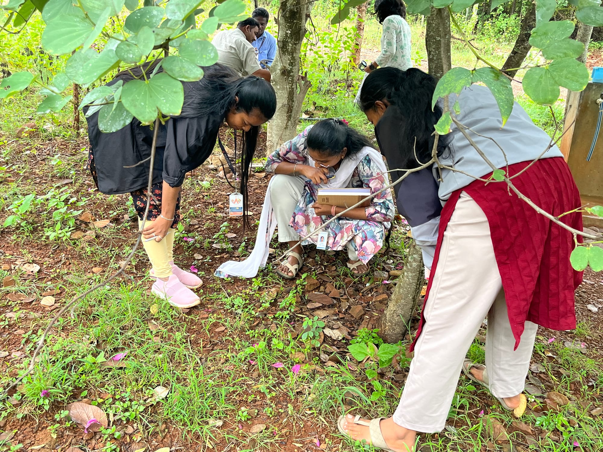 Nature-based Social-Emotional Learning for Teachers and Educators