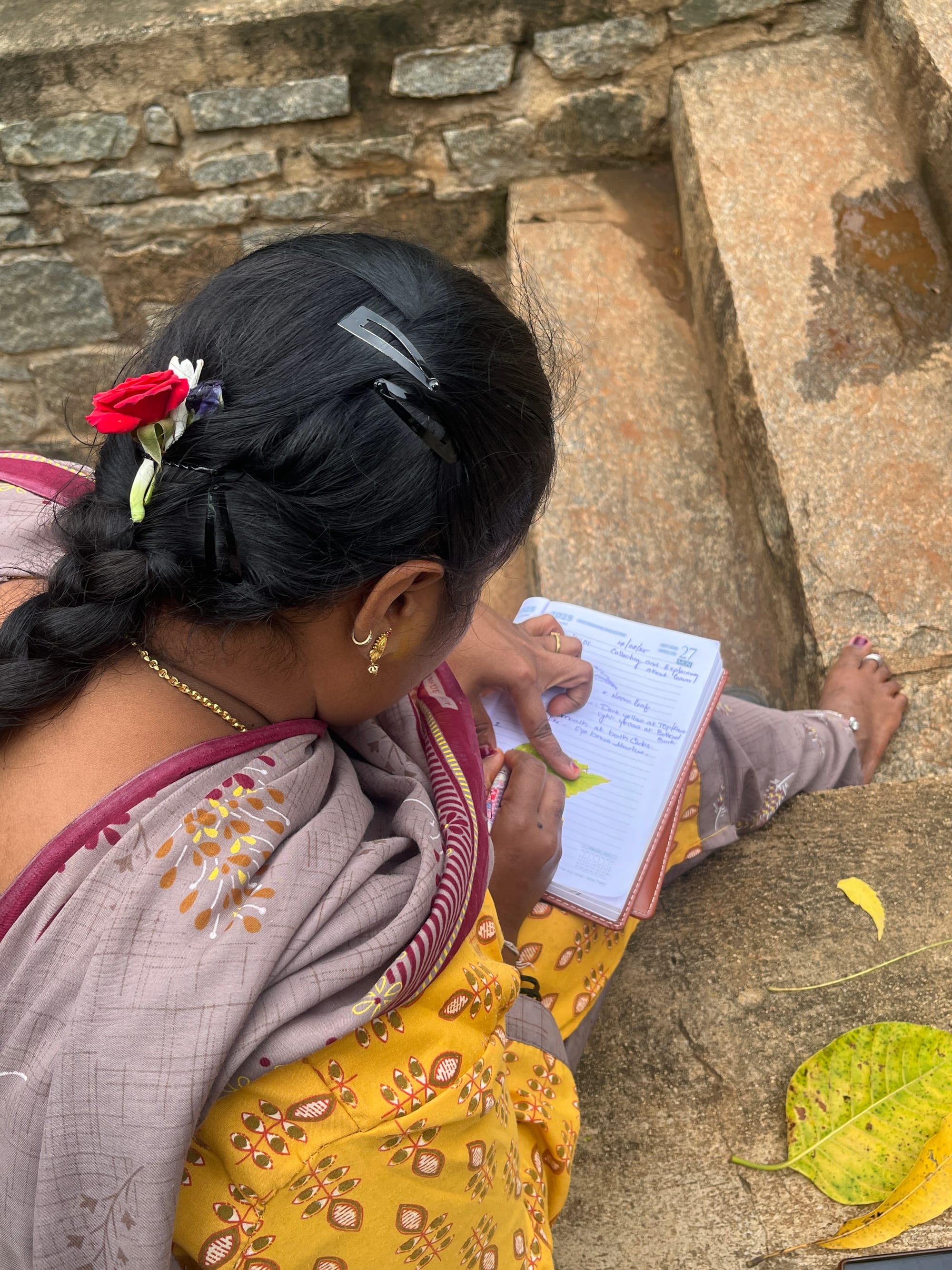 Teachers and Educators