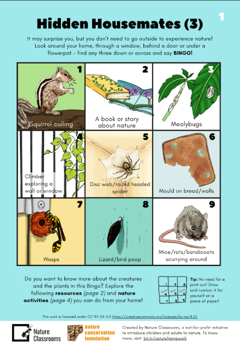 Hidden Housemates (3)