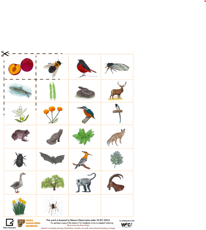 Alphabet Chart Cut-Outs