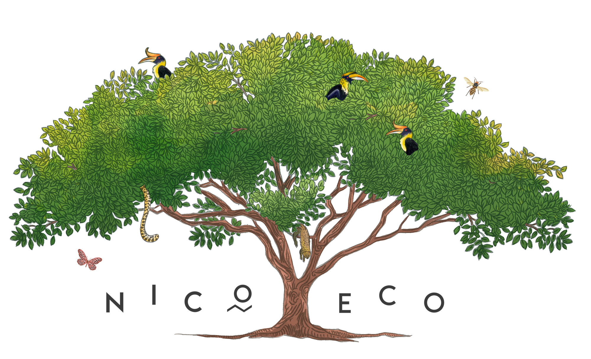 Nico eco
