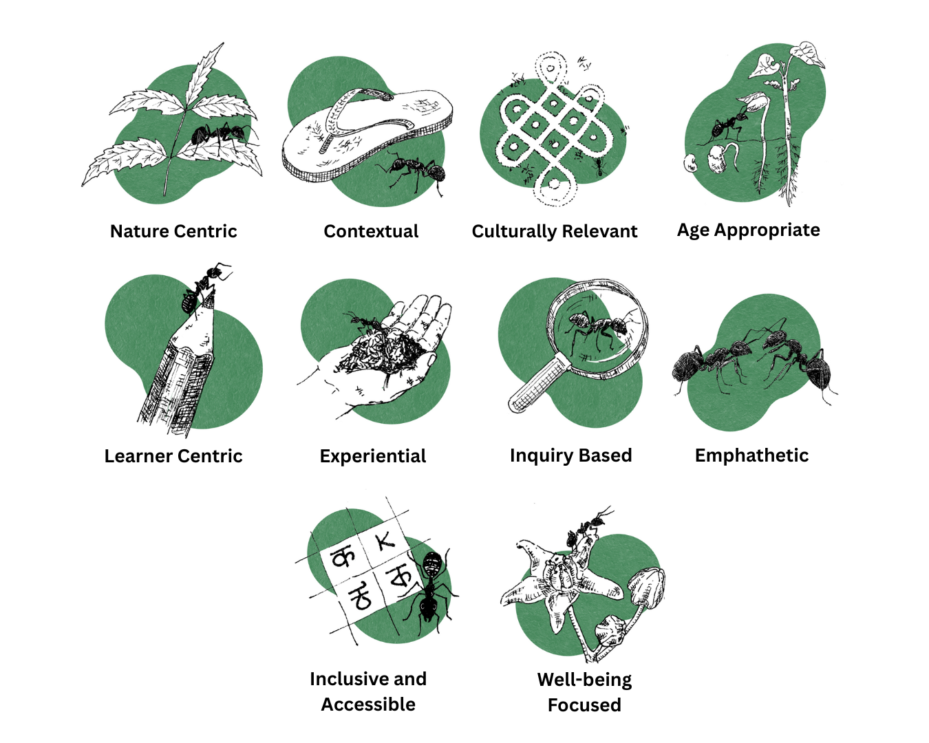 Nature Classrooms Pedagogy