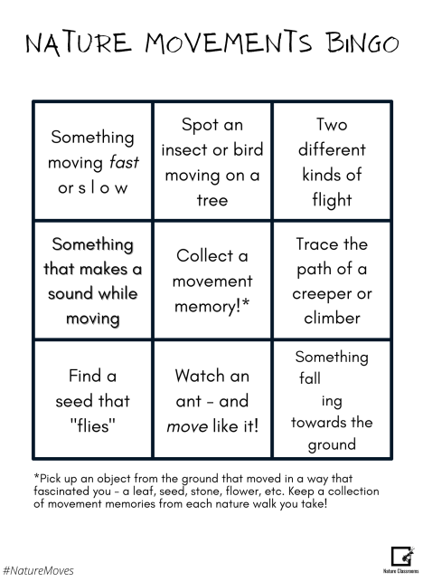 Nature Movements Bingo