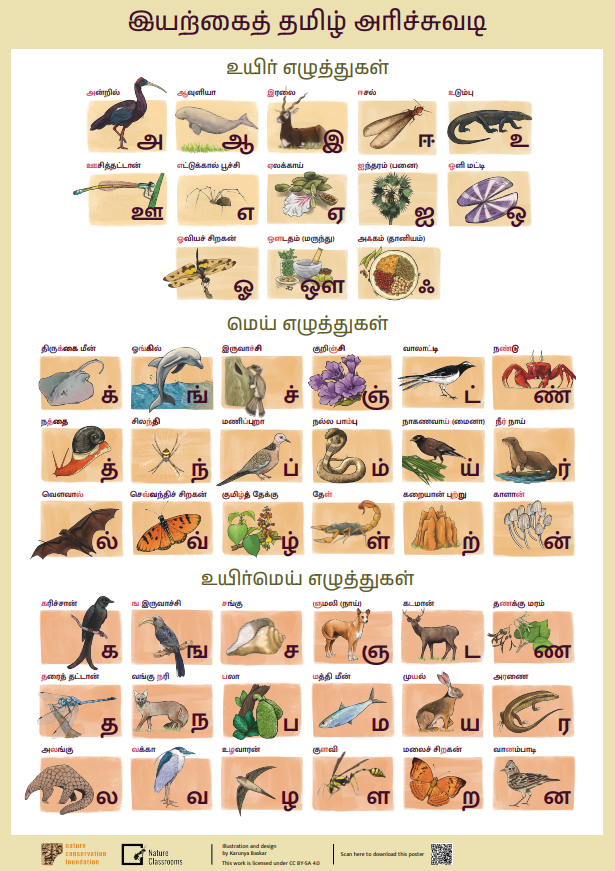 Tamil Alphabet Chart