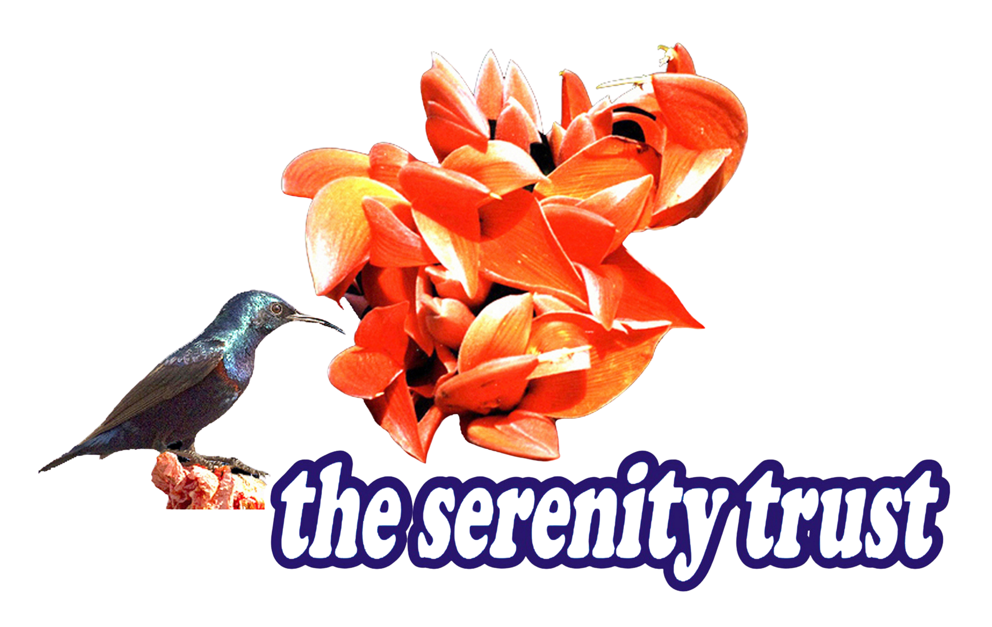 The serenity trust