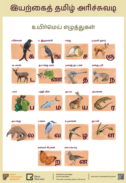 Vowel-Consonents Tamil Alphabet Chart