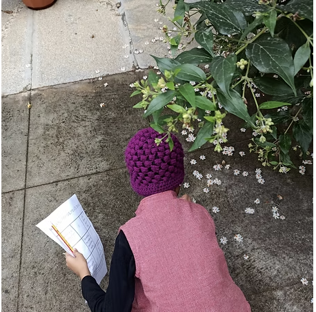 Connecting Learning to the Natural World (iWonder)
